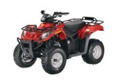 2012 Arctic Cat 300 photo